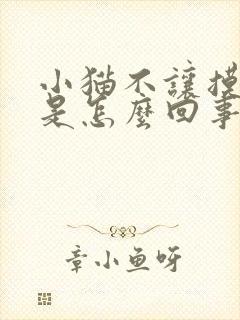 小猫不让摸肚子是怎么回事