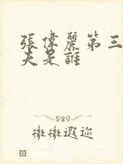 张伟丽第三任丈夫是谁