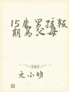 15岁男孩叛逆期骂父母