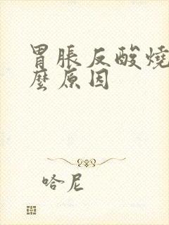 胃胀反酸烧心什么原因封面