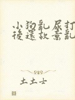 小狗乱尿打了之后还故意乱拉