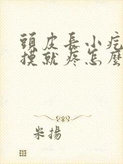 头皮长小疙瘩一摸就疼怎么回事