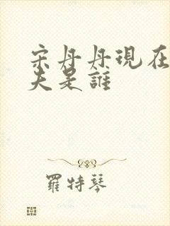 宋丹丹现在的丈夫是谁封面