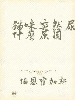 猫咪突然尿闭是什么原因