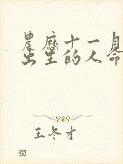 农历十一月十九出生的人命运如何封面