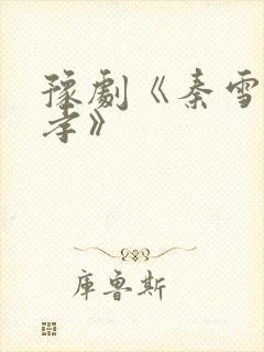 豫剧《秦雪梅吊孝》