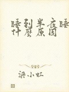 睡到半夜睡不着什么原因