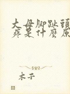 大母脚趾头关节疼是什么原因