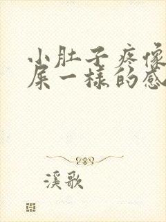 小肚子疼像要拉屎一样的感觉封面