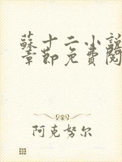 苏十二小说最新章节免费阅读下载