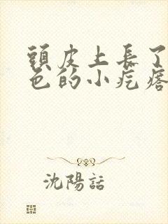 头皮上长了个红色的小疙瘩是怎么回事封面