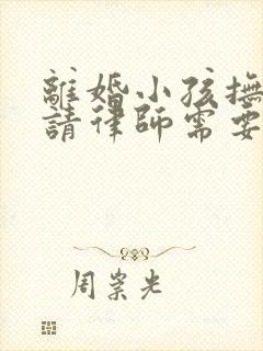 离婚小孩抚养权请律师需要多少钱