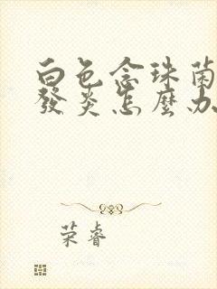 白色念珠菌阴道发炎怎么办