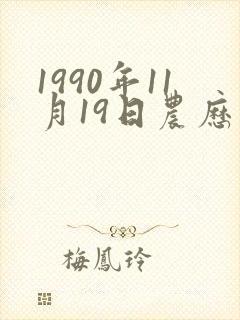1990年11月19日农历五行属性