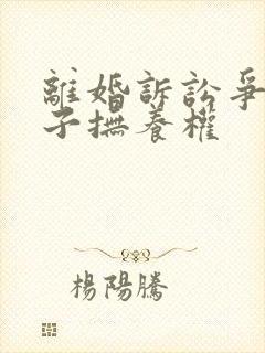 离婚诉讼争夺孩子抚养权