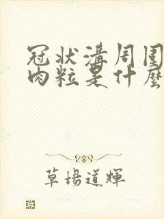 冠状沟周围长小肉粒是什么病