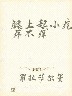 腿上起小疙瘩不疼不痒封面