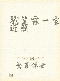 刘笑霖一家三口近照