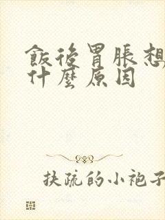 饭后胃胀想吐是什么原因封面