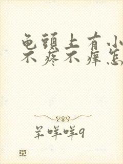 龟头上有小点点不疼不痒怎么回事