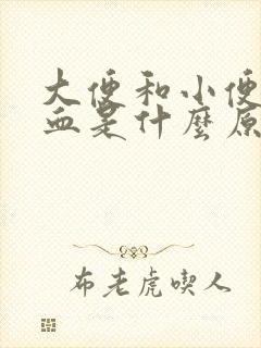 大便和小便都出血是什么原因