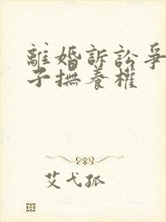 离婚诉讼争取孩子抚养权