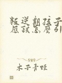 叛逆期孩子厌学应该怎么引导