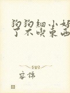 狗狗细小好几天了不吃东西怎么办