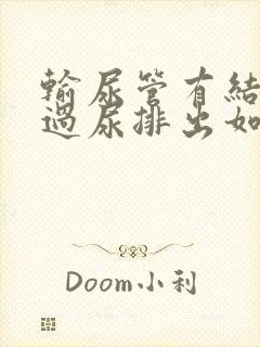 输尿管有结石通过尿排出如何辨别