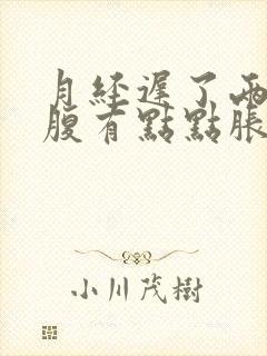 月经迟了两天小腹有点点胀痛