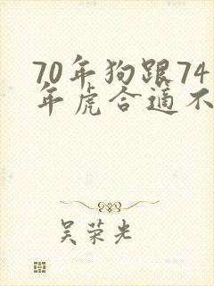70年狗跟74年虎合适不封面