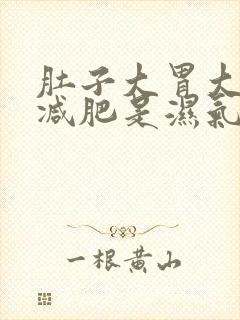 肚子大胃大怎么减肥是湿气重吗