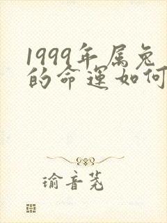 1999年属兔的命运如何