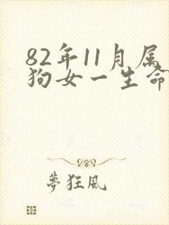 82年11月属狗女一生命运