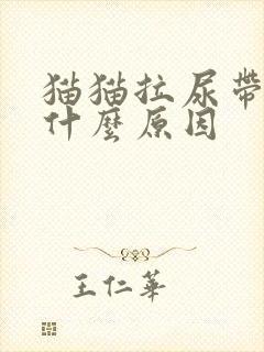 猫猫拉尿带血是什么原因封面