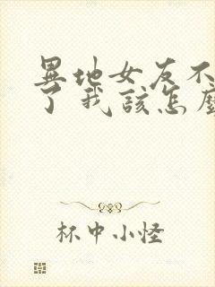 异地女友不理我了 我该怎么办封面