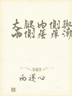 大腿内侧与阴囊两侧瘙痒潮湿发黑买什么药封面