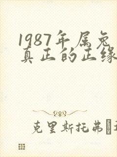 1987年属兔真正的正缘在哪一年