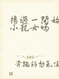 杨过一开始喜欢小龙女吗封面