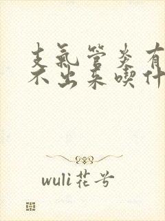 支气管炎有痰咳不出来吃什么药