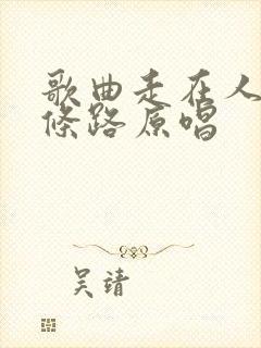 歌曲走在人生这条路原唱
