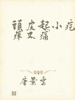 头皮起小疙瘩又痒又痛封面