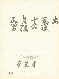 正月十五出生的男孩命运