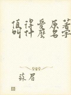 值得爱原著小说叫什么名字啊