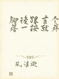 脚后跟有个小疙瘩一按就疼封面