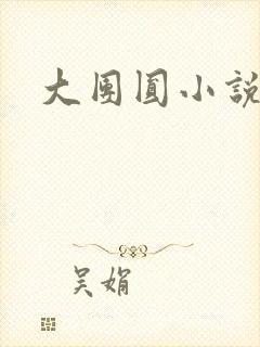 大团圆小说封面