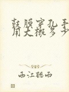 鼓膜穿孔手术费用大概多少钱