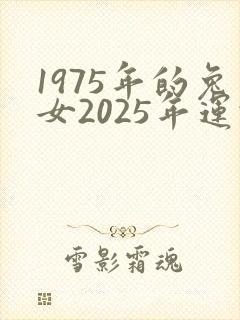 1975年的兔女2025年运势