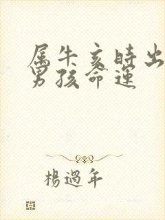 属牛亥时出生的男孩命运