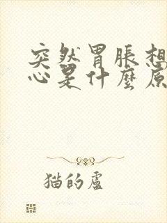 突然胃胀想吐恶心是什么原因封面